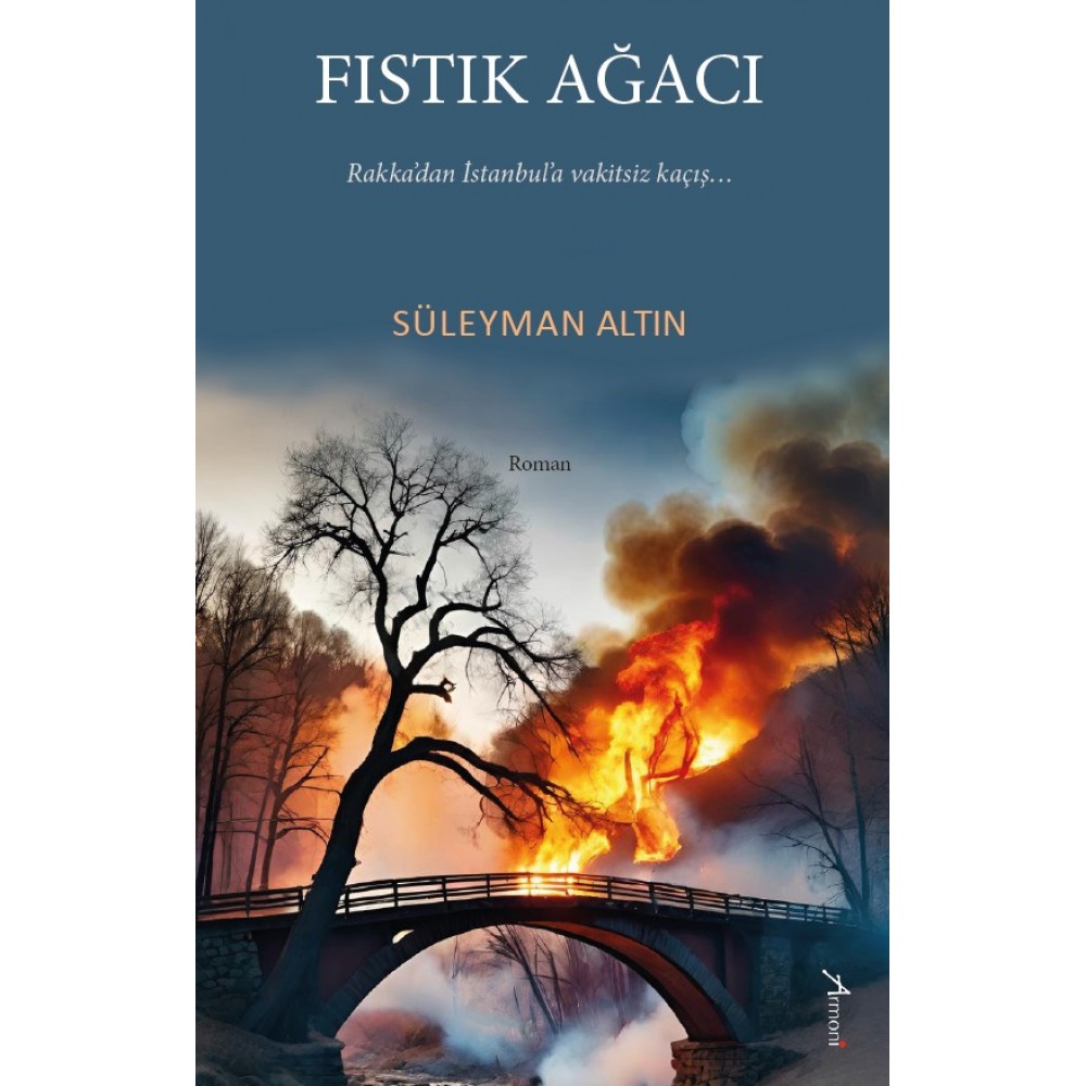 Fıstık Ağacı Fıstık Ağacı